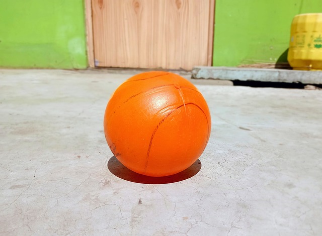 的高度评价 的高度评价