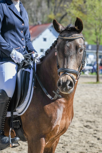 表现堪称典 表现堪称典