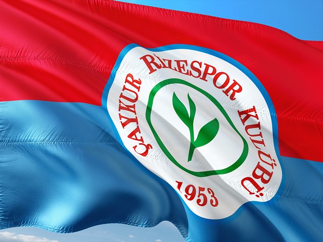 既是对球队 既是对球队