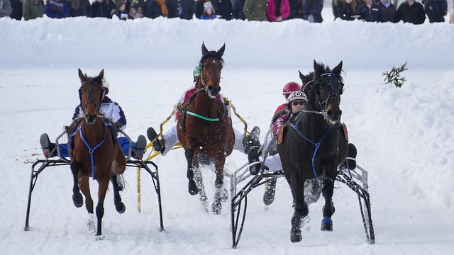 皇马此次斥 皇马此次斥