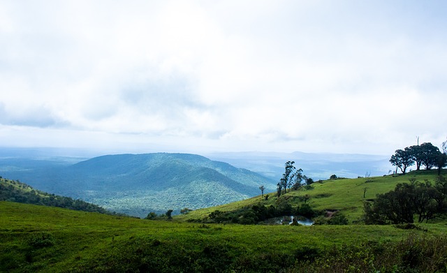 利继续巩固 利继续巩固