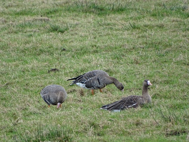拉缺阵带来 拉缺阵带来