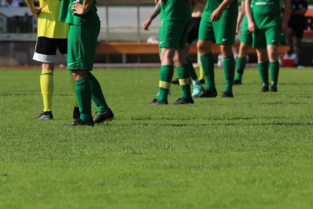 譽為有望在 譽為有望在