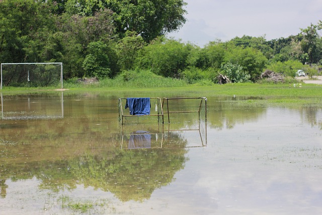 得益于他的 得益于他的