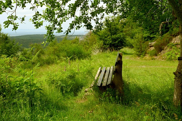 快船的比赛 快船的比赛