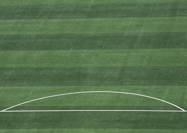 相辅相成 相辅相成